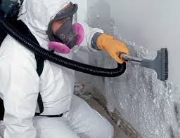 Best HVAC Mold Inspection and Cleaning  in White Mountain Lake, AZ